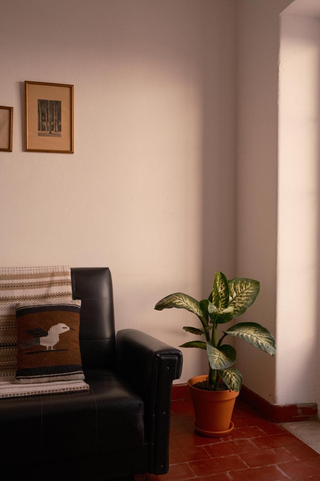 Manas Coliving Apartment Sines Exterior foto